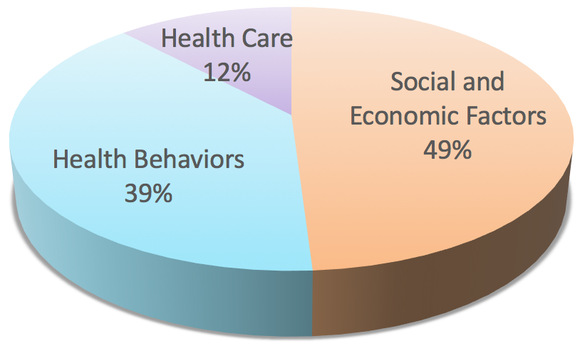 Social Determinants Of Health Pie Chart